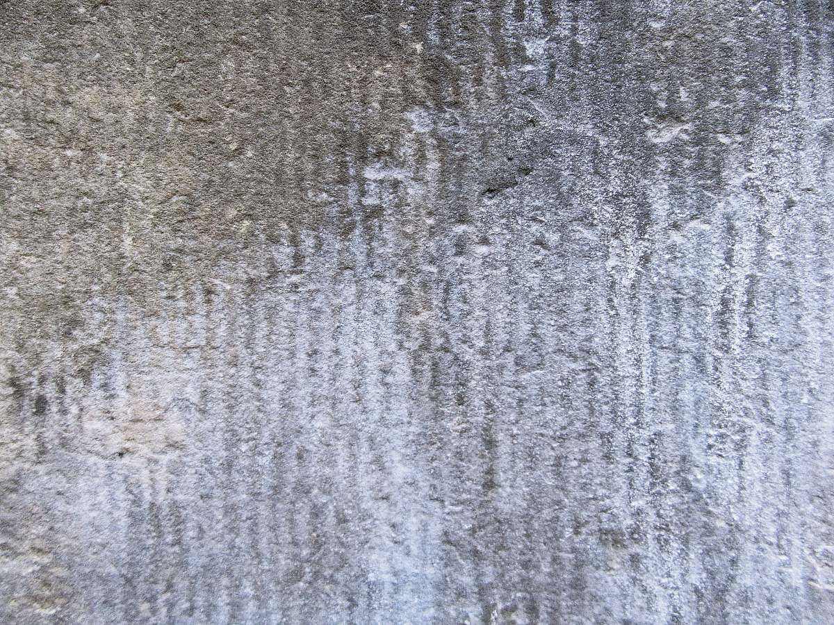 home decor  rug